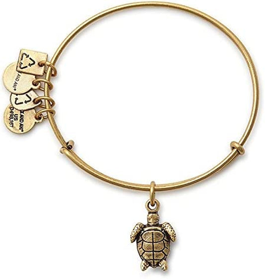 Charity by Design Turtle Rafaelian Bangle Bracelet