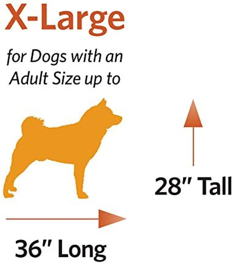 Newly Enhanced Single & Double Door Icrate Dog Crate, Includes Leak-Proof Pan, Floor Protecting Feet, Divider Panel & New Patented Features