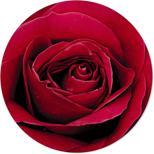 Area Rug 3.3Ft Round, Red Rose Flower Plant Kitchen Rugs Non Skid Area Indoor Floor Mat for Living Room, Bedroom