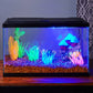 Aquaculture Aquarium 10 Gallon 10 Gallon
