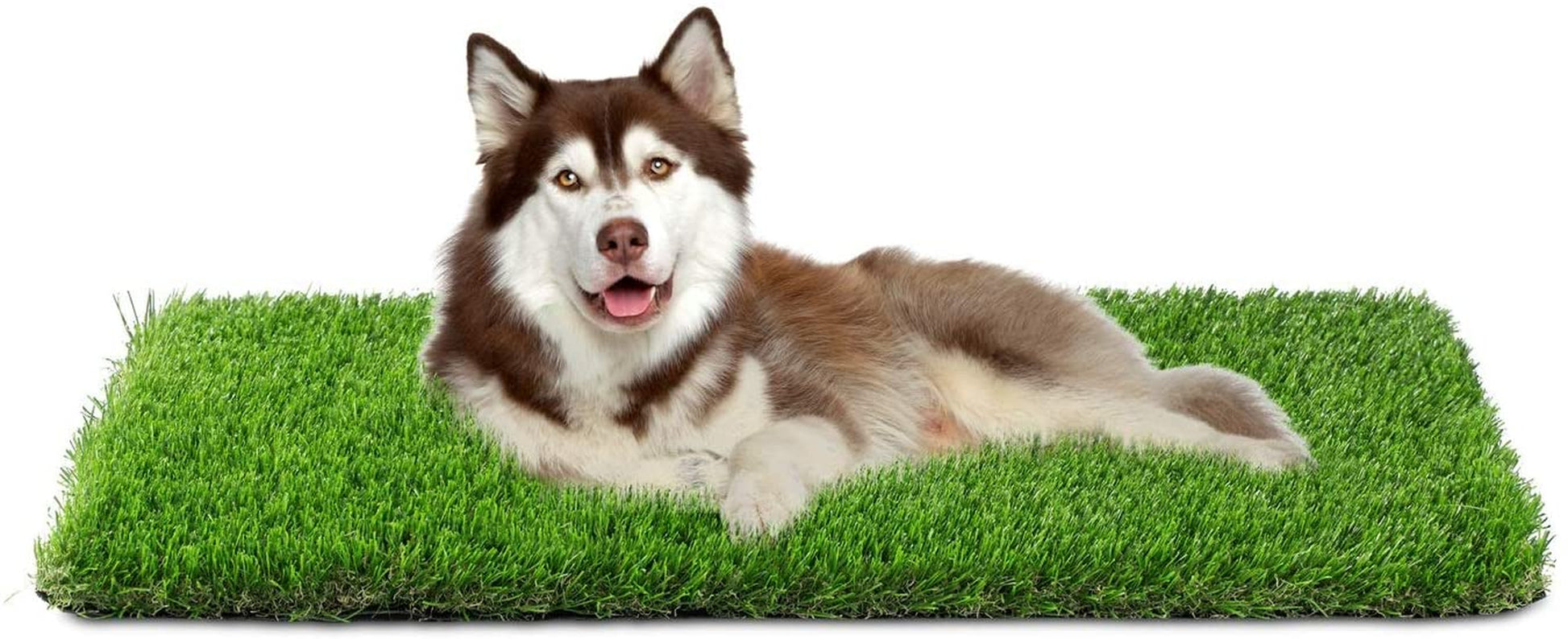 Artificial Grass, Professional Dog Grass Mat, Grass Pee Pad for Pet, Dog Potty Training Rug with Drainage Holes - Easy to Clean, Fake Turf for Indoor & Outdoor Patio Decor(39.4'' X19.7'')