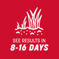 Pennington Rebels Tall Fescue Grass Seed, for Sun to Partial Shade, 3 Lb.