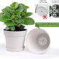 Pots for Plants, 15 Pack 6 Inch Plastic Planters with Multiple Drainage Holes and Trays - Plant Pots for All Home Garden Flowers Succulents (White)
