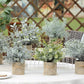 Small Fake Plants Mini Potted Artificial Plants Indoor for Home Office Farmhouse Kitchen Bathroom Table Decor