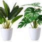 Fake Plants,Artificial Plants 16''Faux Bird of Paradise Plant and Fake Monstera Deliciosa Plant for Home Decor Indoor, Artificial Potted Plants for Office Room Desk Decoration,2 Pack