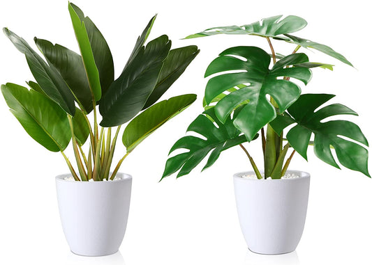 Fake Plants,Artificial Plants 16''Faux Bird of Paradise Plant and Fake Monstera Deliciosa Plant for Home Decor Indoor, Artificial Potted Plants for Office Room Desk Decoration,2 Pack