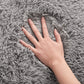 Soft Shaggy Area Rugs for Bedroom Fluffy Living Room Rugs Nursery Girls Carpets Kids Home Decor Rugs 4 X 5.3 Feet Grey