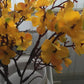 Gypsophila Flowers Artificial Branch Wedding Home Fake Bouquet Breath Decoration