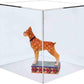 5 Sided Cube Display Box 5 Inch Square Hollow Flippable Bin One Open Side Clear Platform Display Art Pedestal Collectible Cover Showcase Stand Expo Event Wedding Reception by