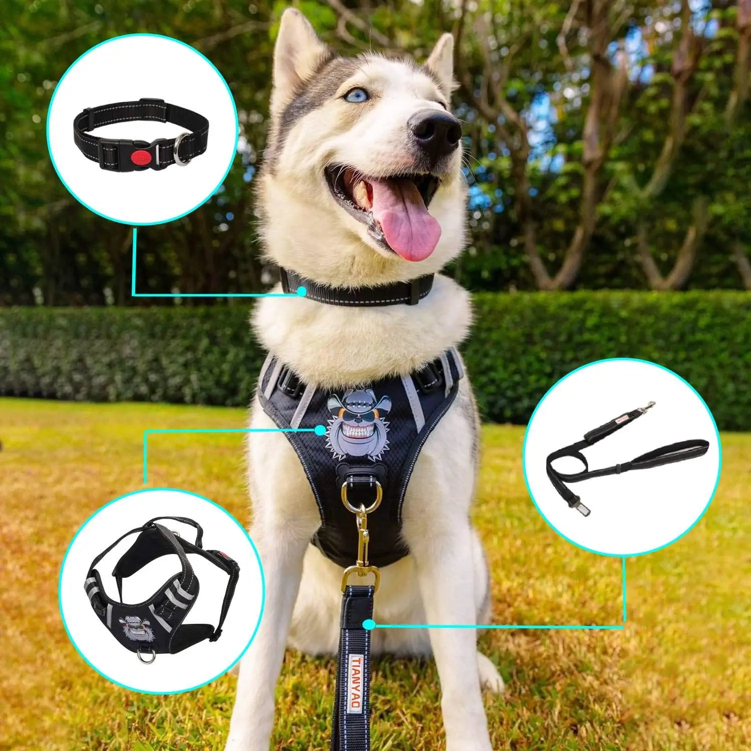 Dog Harness No-Pull Dog Vest Set Reflective Adjustable Oxford Material Pet Harness for Medium Large Dogs with Leash and Collar (Large(Chest:25-35"), Black)