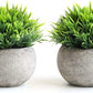 2 Pcs Fake Plants for Bathroom/Home Office Decor, Small Artificial Faux Greenery for House Decorations (Potted Plants)
