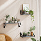 Floating Shelves Wall Mounted Set of 3, Rustic Wood Wall Shelves for Bedroom, Bathroom, Living Room, Kitchen, Laundry Room Storage & Decoration, Gray