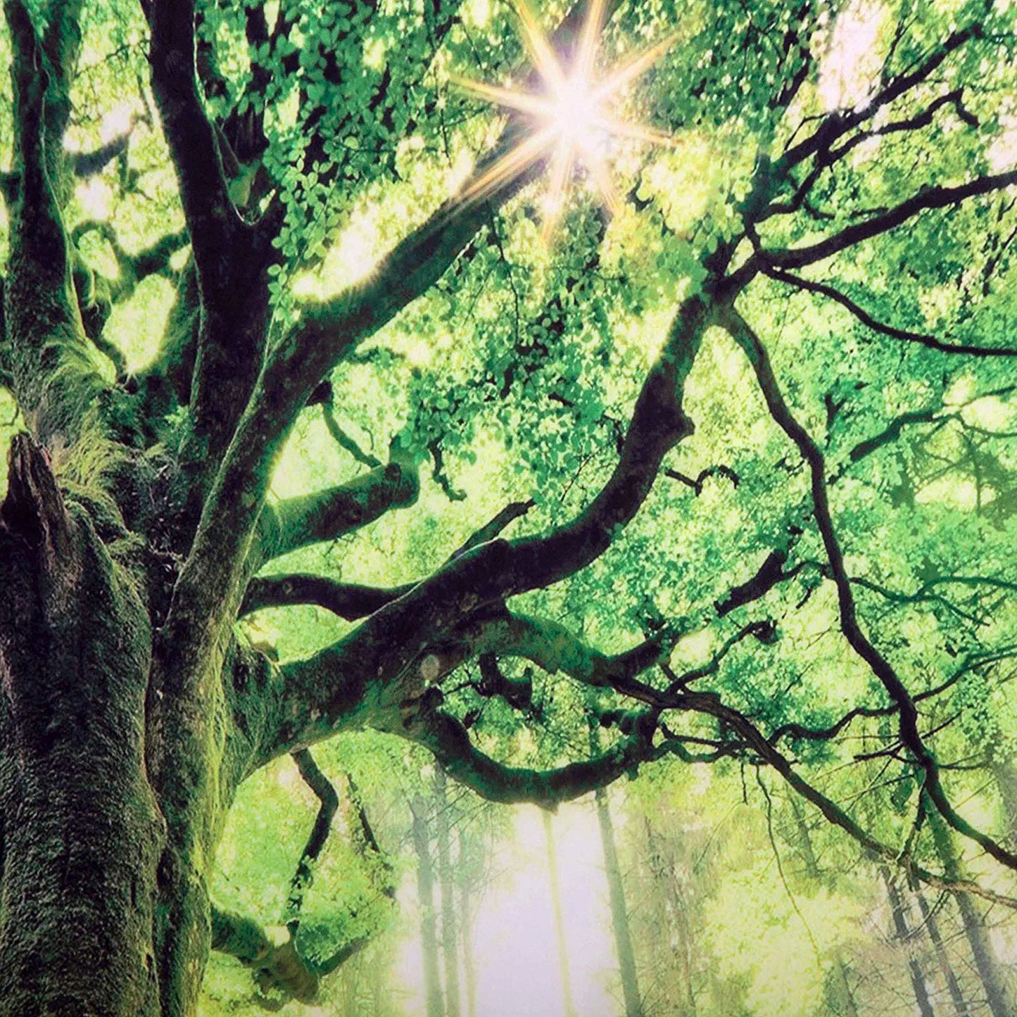 Nature Forest Thick Tree Wall Tapestry Large King Size 3D Print Wall Art Hanging for Bedroom Living Room Dorm Decor, W90 X T71,Green and White