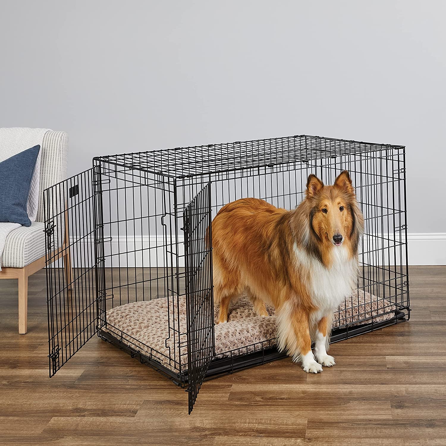 Newly Enhanced Single & Double Door Icrate Dog Crate, Includes Leak-Proof Pan, Floor Protecting Feet, Divider Panel & New Patented Features