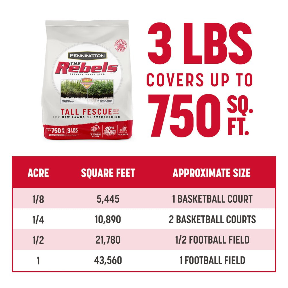 Pennington Rebels Tall Fescue Grass Seed, for Sun to Partial Shade, 3 Lb.