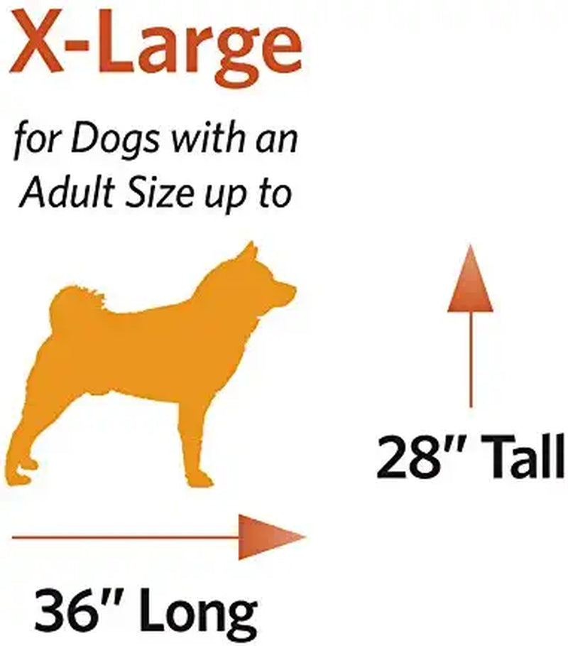 Newly Enhanced Single & Double Door Icrate Dog Crate, Includes Leak-Proof Pan, Floor Protecting Feet, Divider Panel & New Patented Features