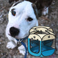Portable Foldable Pet Puppy Playpen - Indoor Outdoor with Water Resistant Removable Shade Cover for Dog Cat Rabbit (Medium)