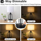 Touch Control Table Lamp Set of 2, Farmhouse Black Cage Bedside Lamps with 2 USB Ports and Outlets,3-Way Dimmable Nightstand Lamps for Reading, Bedroom, Living Room(Bulbs Included)