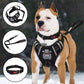 Dog Harness No-Pull Dog Vest Set Reflective Adjustable Oxford Material Pet Harness for Medium Large Dogs with Leash and Collar (Large(Chest:25-35"), Black)