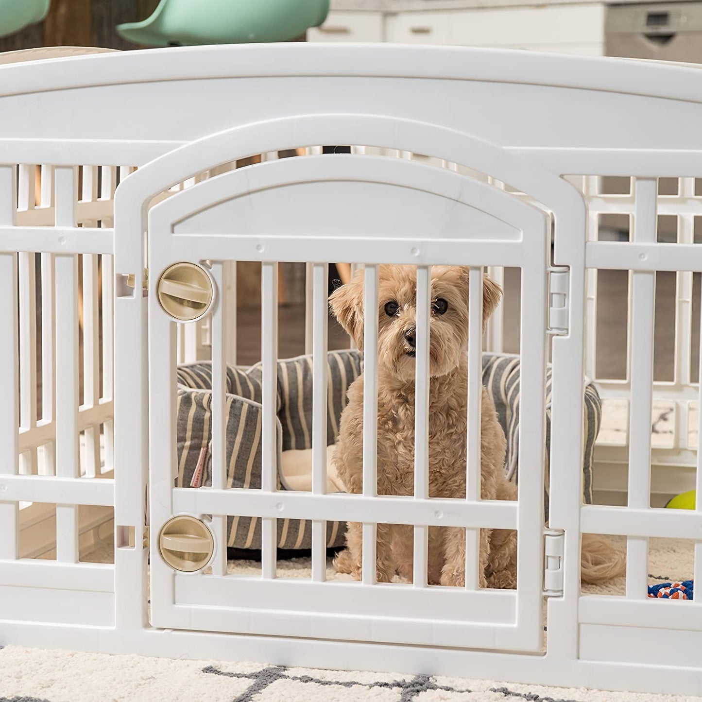 IRIS USA Dog Playpen, Exercise Pet Playpen with Door, 4-Panel, 24" H, White