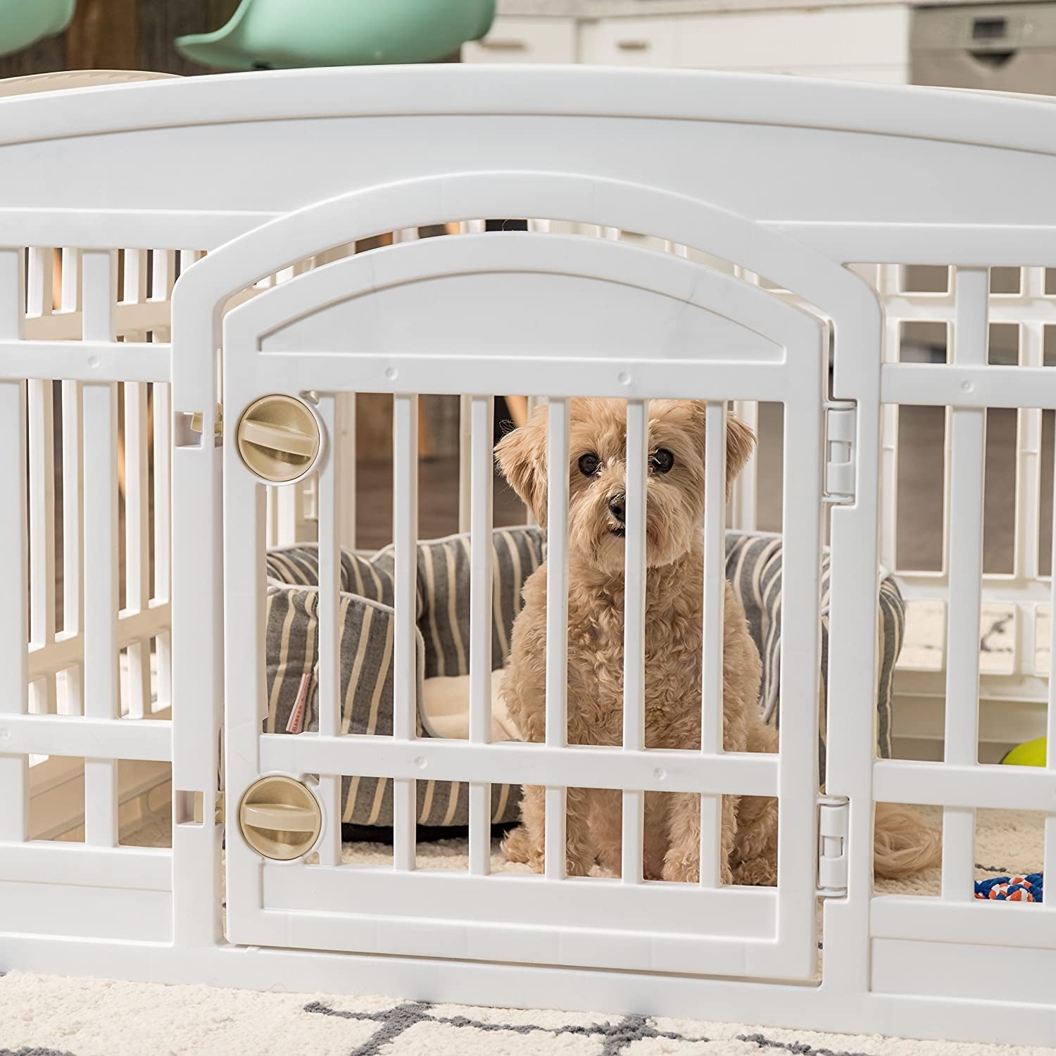 IRIS USA Dog Playpen, Exercise Pet Playpen with Door, 4-Panel, 24" H, White