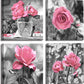 4 Panel Pink Rose Flower Wall Art Paintings Wall Art Paintings Floral Prints on Black and White Canvas Wall Decoration Framed for Bathroom Bedroom Decor Artwork 14X14 Inch