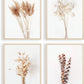 Boho Wall Art Modern Farmhouse Bathroom Decor Cute Pampas Grass Wall Decor Botanical Prints Beige Room Aesthetic Neutral Kitchen Bedroom Decor Set of 4(UNFRAMED 8X10In)