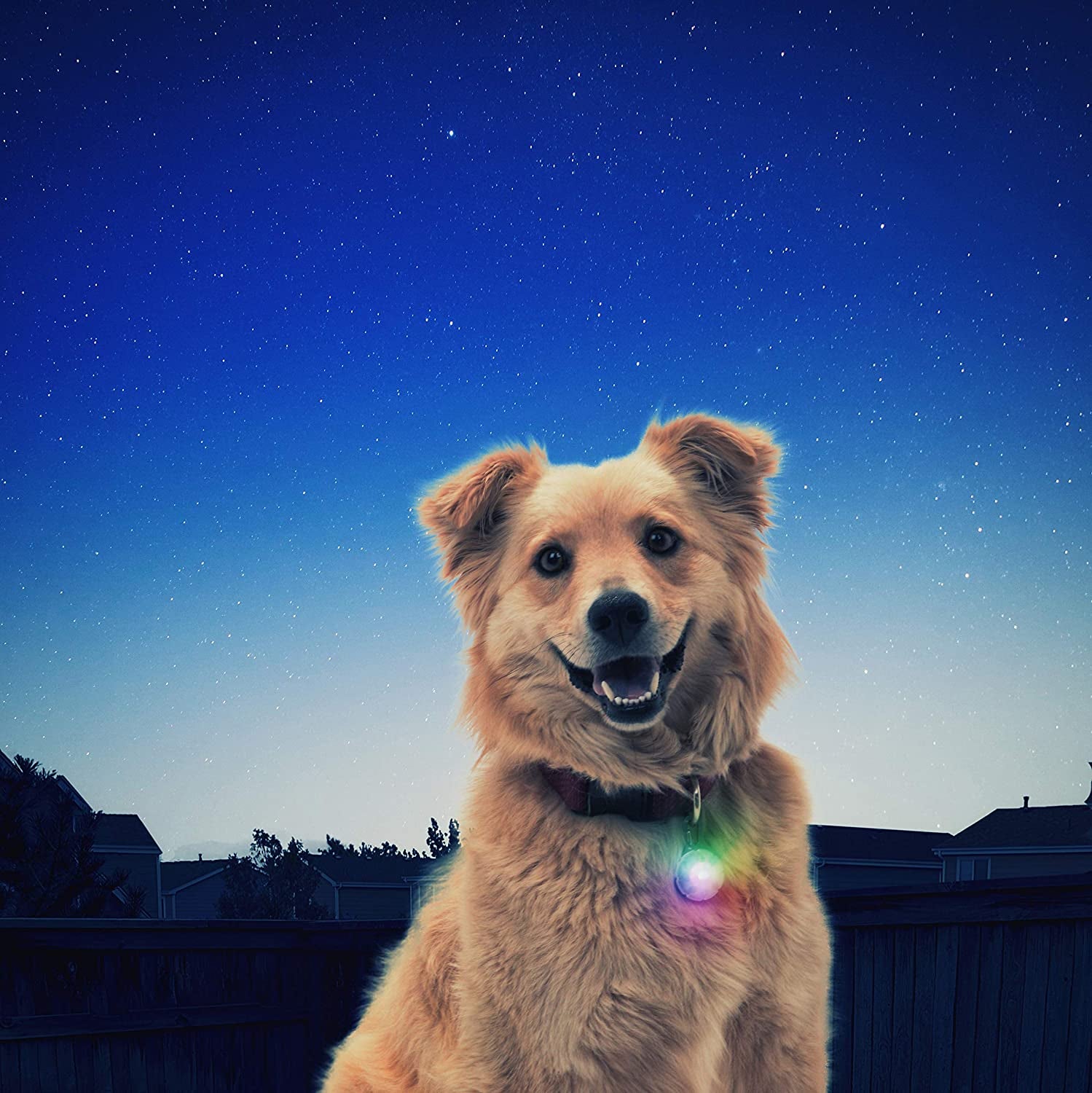 Spotlit LED Collar Light
