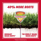 Pennington Rebels Tall Fescue Grass Seed, for Sun to Partial Shade, 3 Lb.