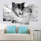 Black and White Wolf Beast Print Wall Art Décor, Wolves Embrace Hugging Staring Wall Décor Art Canvas Print Poster, Human and Nature Animal Pictures Paintings Wall Murals without Frame (Black&White2)