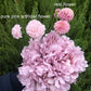 ,Artificial Flowers with Vase, Fake Peony Flowers in Gray Vase,Faux Flower Arrangements for Home Decor,Light Lilac ,Small