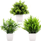3Pack Mini Fake Plants in Pots,Artificial Plastic Eucalyptus Plants,Wheat Grass Potted Faux Plants Indoor for Office Desk Coffee Table Bathroom Bedroom Home Decorations
