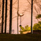 Garden Solar Lights Pathway Outdoor Moon Crackle Glass Globe Stake Metal Lights,Waterproof Warm White LED for Lawn,Patio or Courtyard (Bronze)