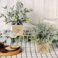 Small Fake Plants Mini Potted Artificial Plants Indoor for Home Office Farmhouse Kitchen Bathroom Table Decor