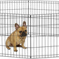 New World Pet Products B550-24 Foldable Exercise Pet Playpen, Black, Small/24 Inch X 24 Inch