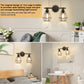 2-Light Industrial Bathroom Vanity Light, Farmhouse Metal Cage Wall Sconces, Rustic Matte Black Wall Mount Light Fixtures, Porch Wall Lamps for Living Room, Mirror Cabinets, Bedroom, E26 Base