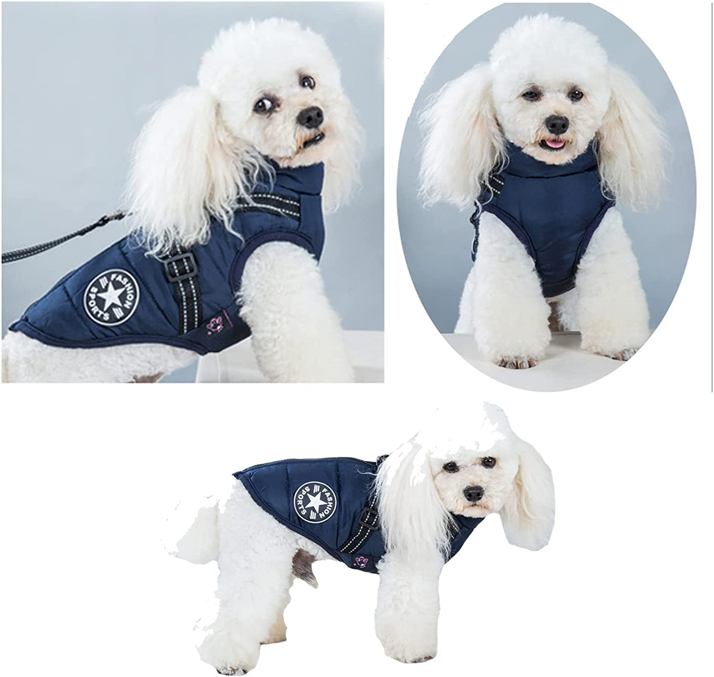 Pet Jacket, Dog Coat Harness Winter Warm Vest Jacket Waterproof Cotton Costume for Puppy Small Medium Dogs (M, Blue)
