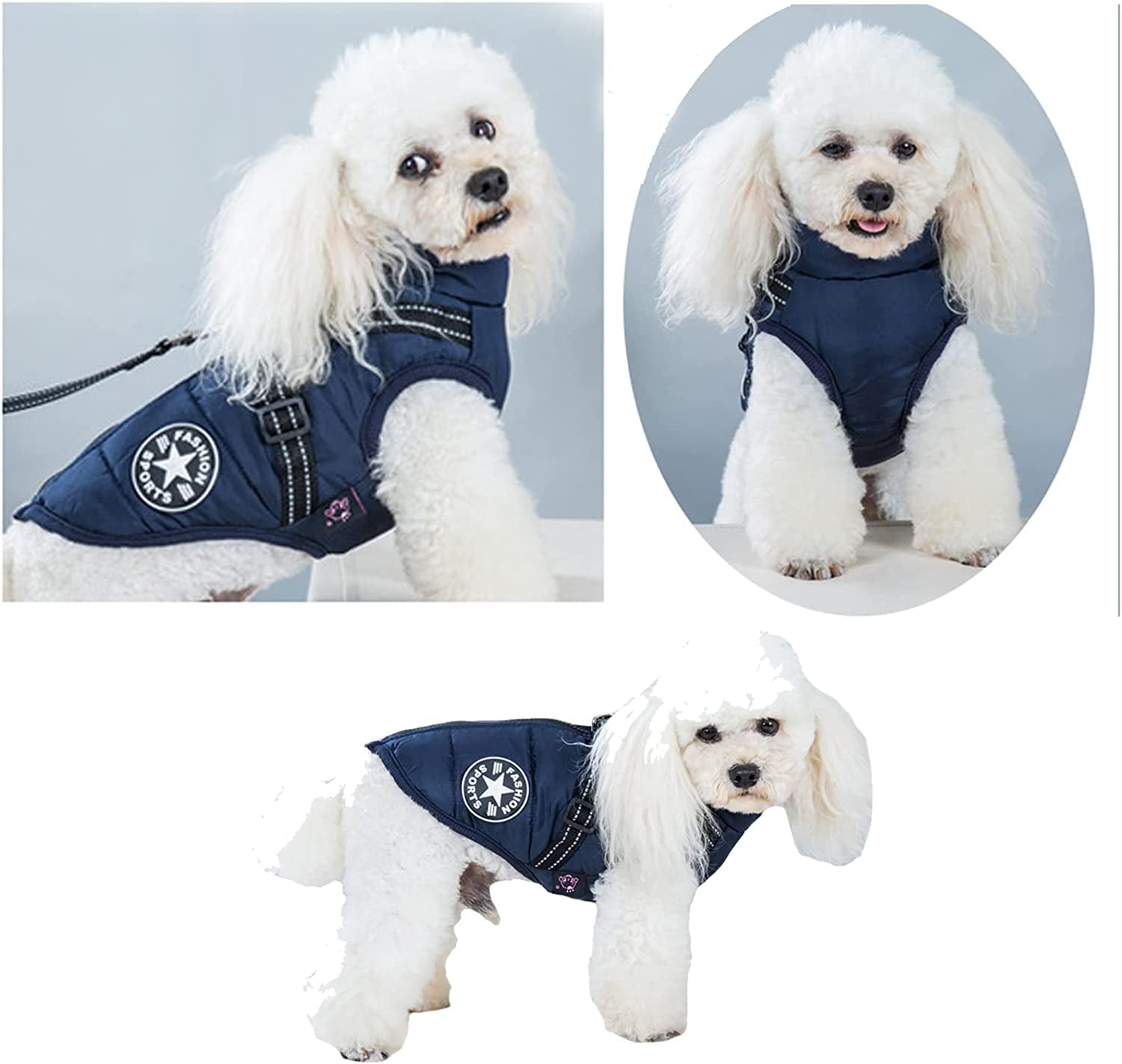 Pet Jacket, Dog Coat Harness Winter Warm Vest Jacket Waterproof Cotton Costume for Puppy Small Medium Dogs (M, Blue)