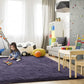 Super Soft Shaggy Rugs Fluffy Carpets 3X5 Feet, Indoor Modern Plush Area Rugs for Living Room Bedroom Kids Room Nursery Home Decor, Upgrade Anti-Skid Durable Rectangular Fuzzy Rug, Grey Purple