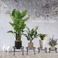 4 Pack Metal Plant Stands for Flower Pot, Heavy Duty Potted Holder, Indoor Outdoor Metal Rustproof Iron Garden Container round Supports Rack for Planter