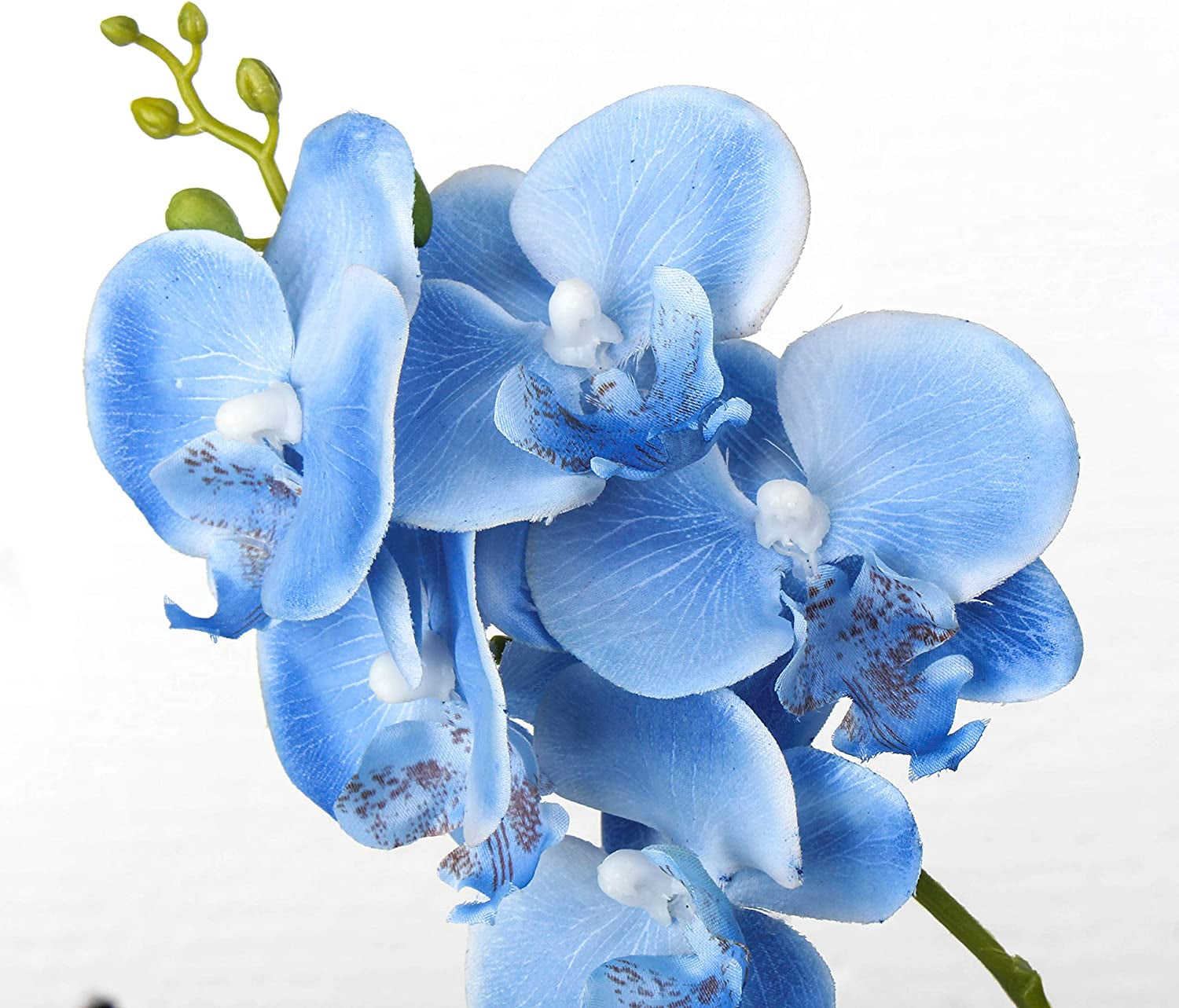 Artificial Flower Bonsai with Glass Vase Vivid Orchid Flowers Arrangement Phalaenopsis Flowers Pot for Home Office Décor Table Centerpiece House Decorations(Glass Vase/Blue Orchid)