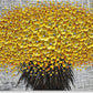 Oil Paintings 24X48", 3D Yellow Flower/Floral Paintings Canvas Wall Art Home Decorations Framed Wall Art Pictures for Dining Room Bedroom Office Kitchen Living Room Wall Decor