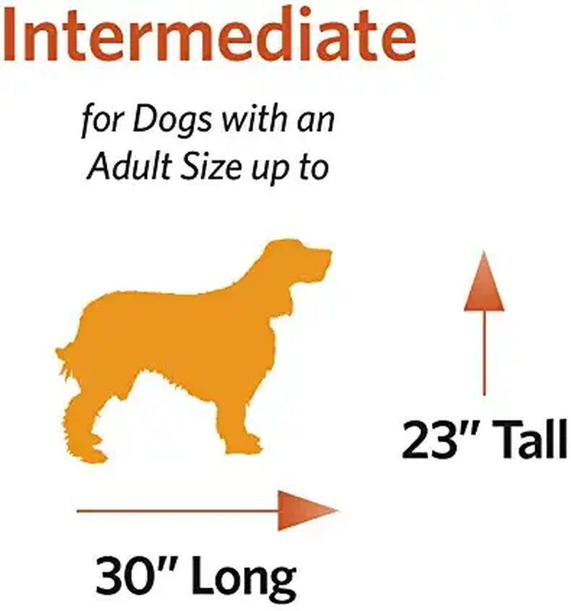Newly Enhanced Single & Double Door Icrate Dog Crate, Includes Leak-Proof Pan, Floor Protecting Feet, Divider Panel & New Patented Features
