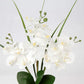 Artificial White Phalaenopsis Orchid Flower Arrangements 20.8" Faux Orchid Flower in Silver Pot Orchid Centerpiece for Dining Room Table