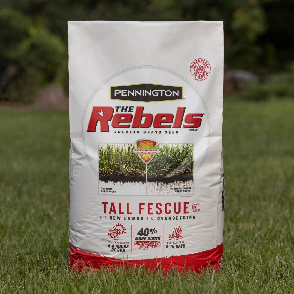 Pennington Rebels Tall Fescue Grass Seed, for Sun to Partial Shade, 3 Lb.