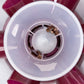 Pet Products Tunnel Self Feeder for Cats