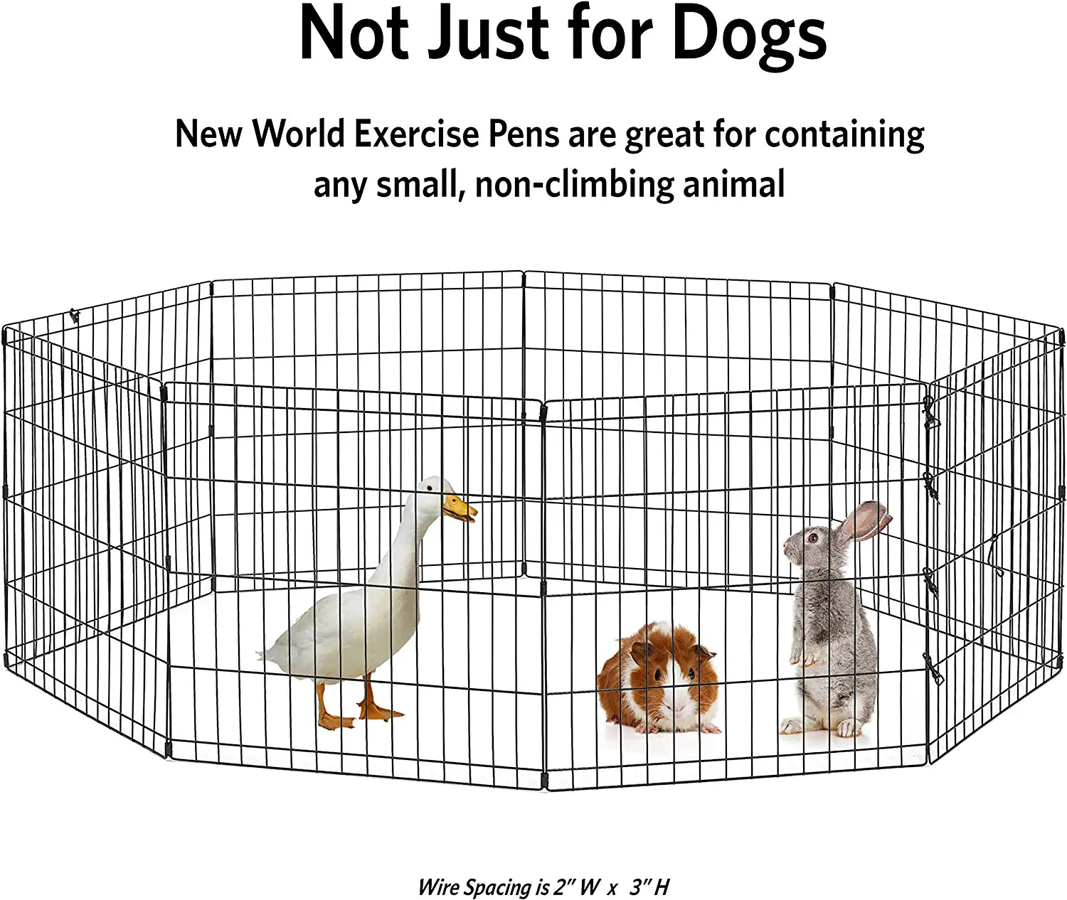 New World Pet Products B550-24 Foldable Exercise Pet Playpen, Black, Small/24 Inch X 24 Inch