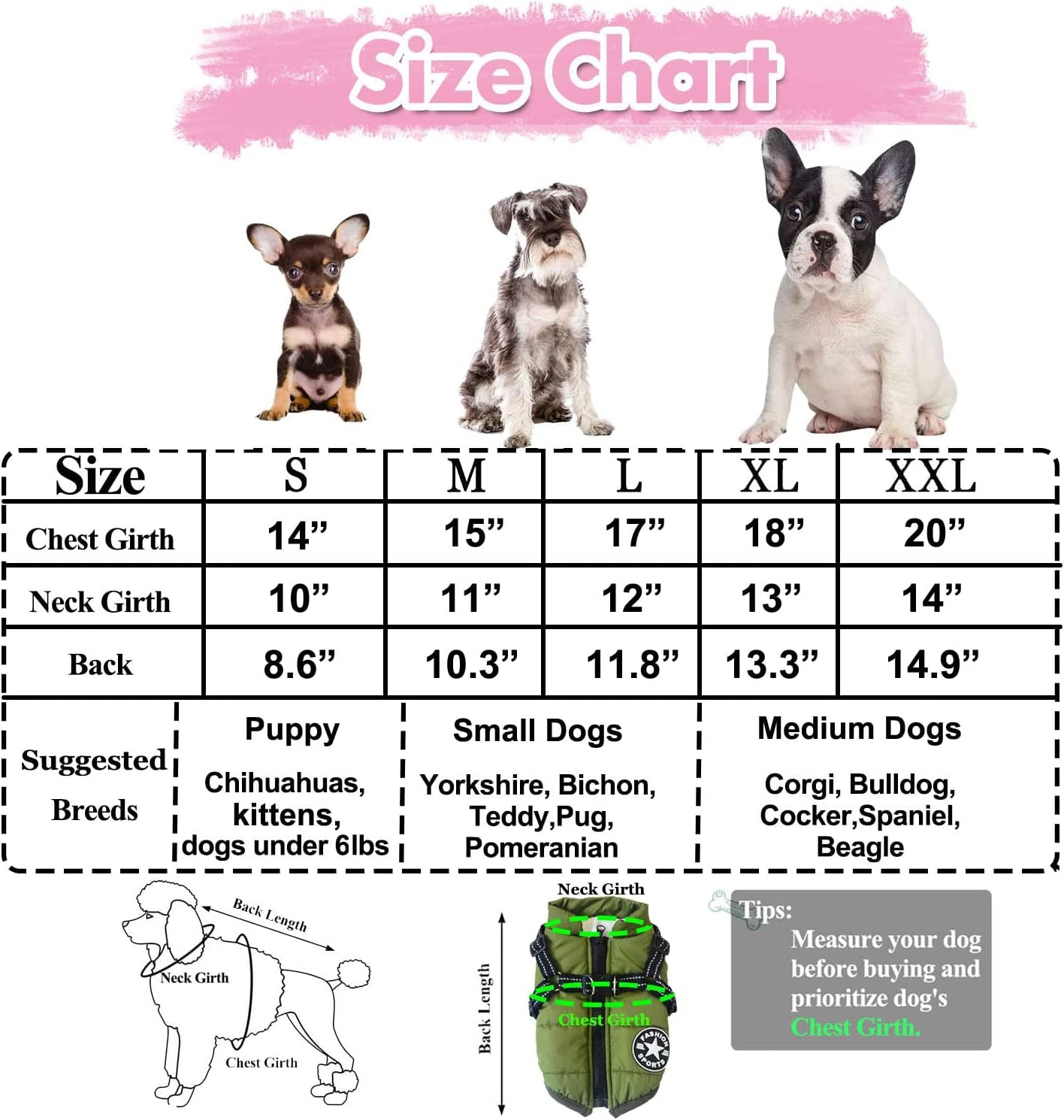 Pet Jacket, Dog Coat Harness Winter Warm Vest Jacket Waterproof Cotton Costume for Puppy Small Medium Dogs (M, Blue)