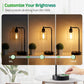 Set of 2 Industrial Table Lamps with AC Outlet and 2 USB Ports, Fully Stepless Dimmable Bedside Lamps, Nightstand Lamp with Glass Shade for Bedroom, Living Room, Office, 2700K Bulbs Included