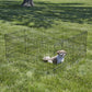 New World Pet Products B550-24 Foldable Exercise Pet Playpen, Black, Small/24 Inch X 24 Inch